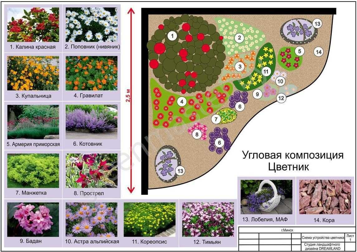Миксбордер: 90 фото правильного подбора растений для дизайна