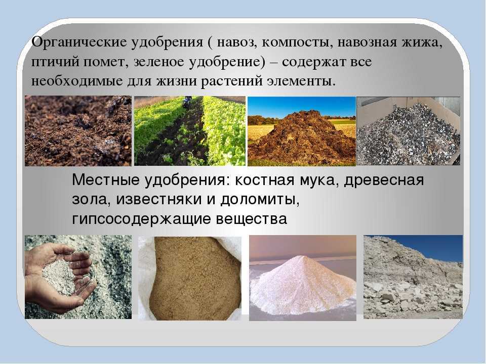 Основные виды минеральных и органических удобрений