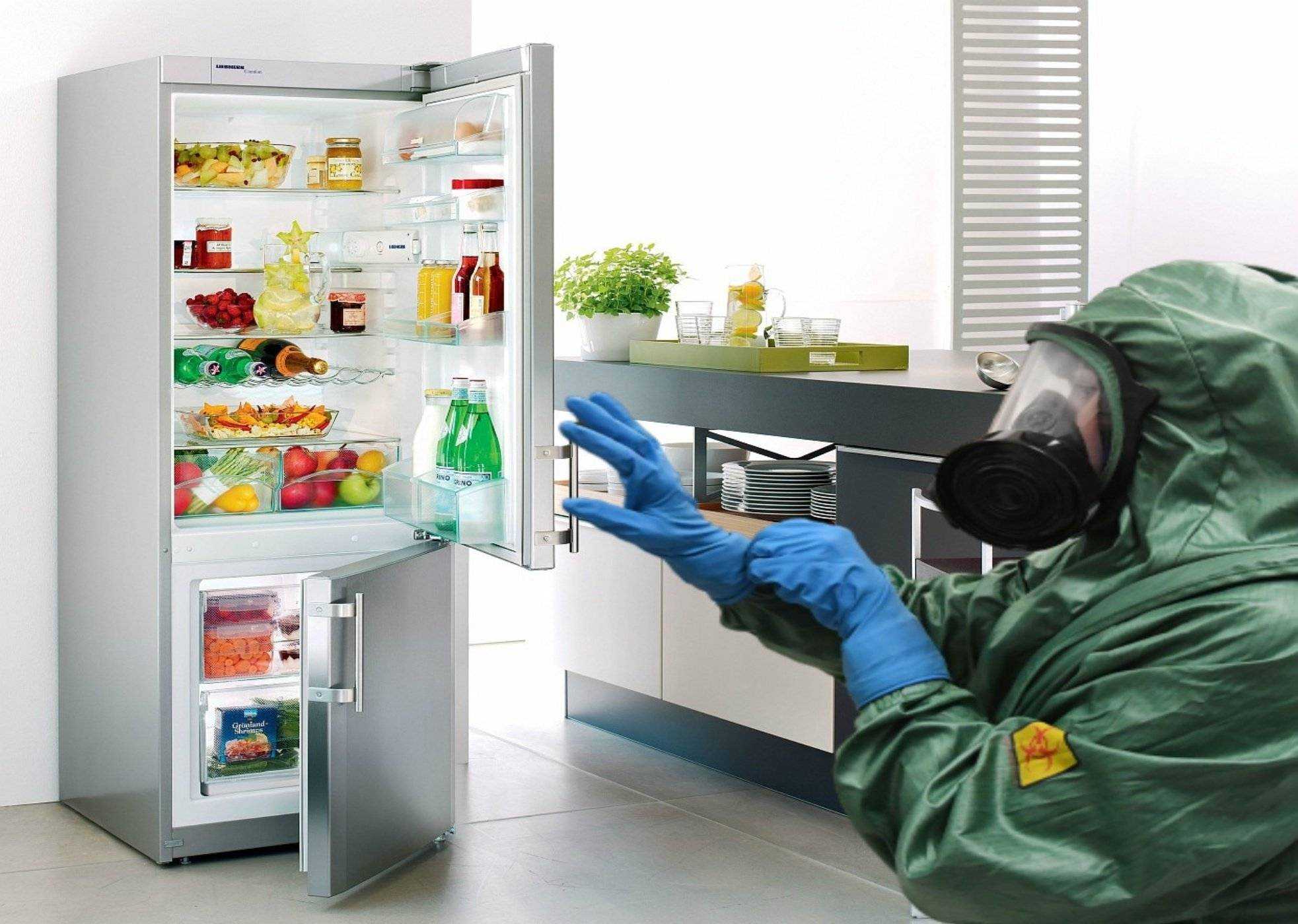 Удалить запах холодильника домашних. Мытье холодильника. Плесень в холодильнике. Тухлые продукты в холодильнике. Бактерии в холодильнике.