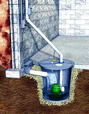 Что делать если в подвале частного дома постоянно стоит вода - все о строительстве, инструментах и товарах для дома