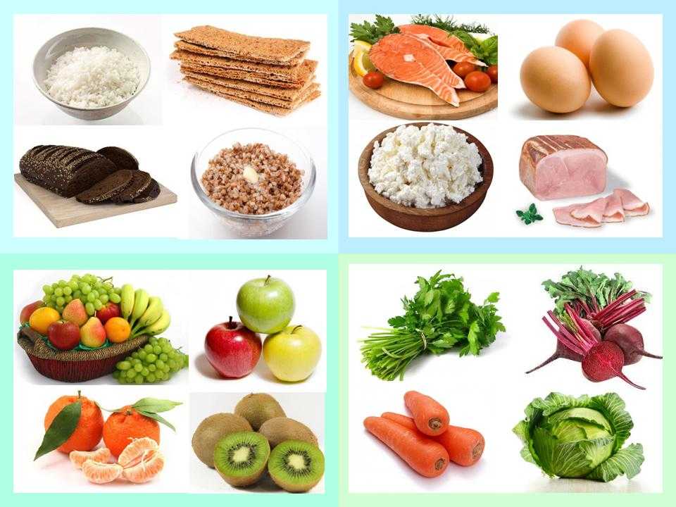 Продукты питания растительного и животного происхождения. продукты растительного происхождения: список, таблица
