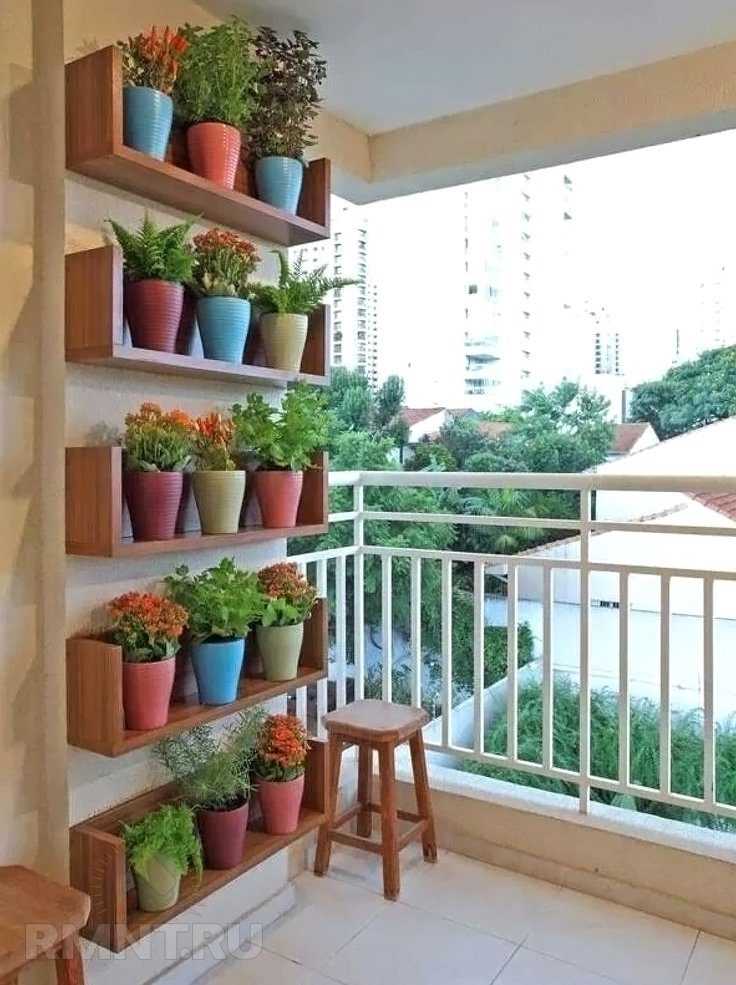 Какие овощи на балконе можно выращивать: виды и сорта