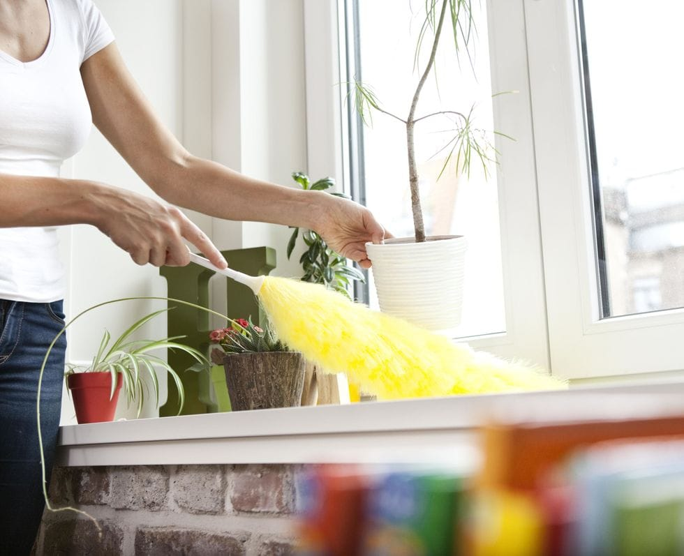 Очистка легких от пыли и грязи в домашних условиях