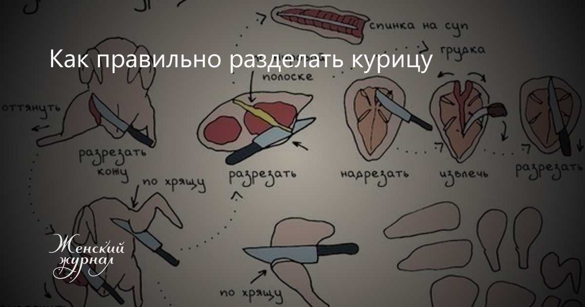 Как правильно разделать. Правильно разделать курицу. Как правильно разделать курицу схема. Инструкция по разделке курицы.