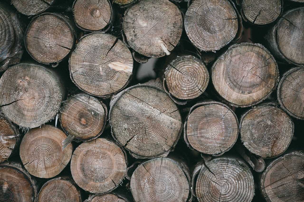 Покрытие для древесины, обзор, характеристики, масло, бесцветная лазурь, очистка древесины