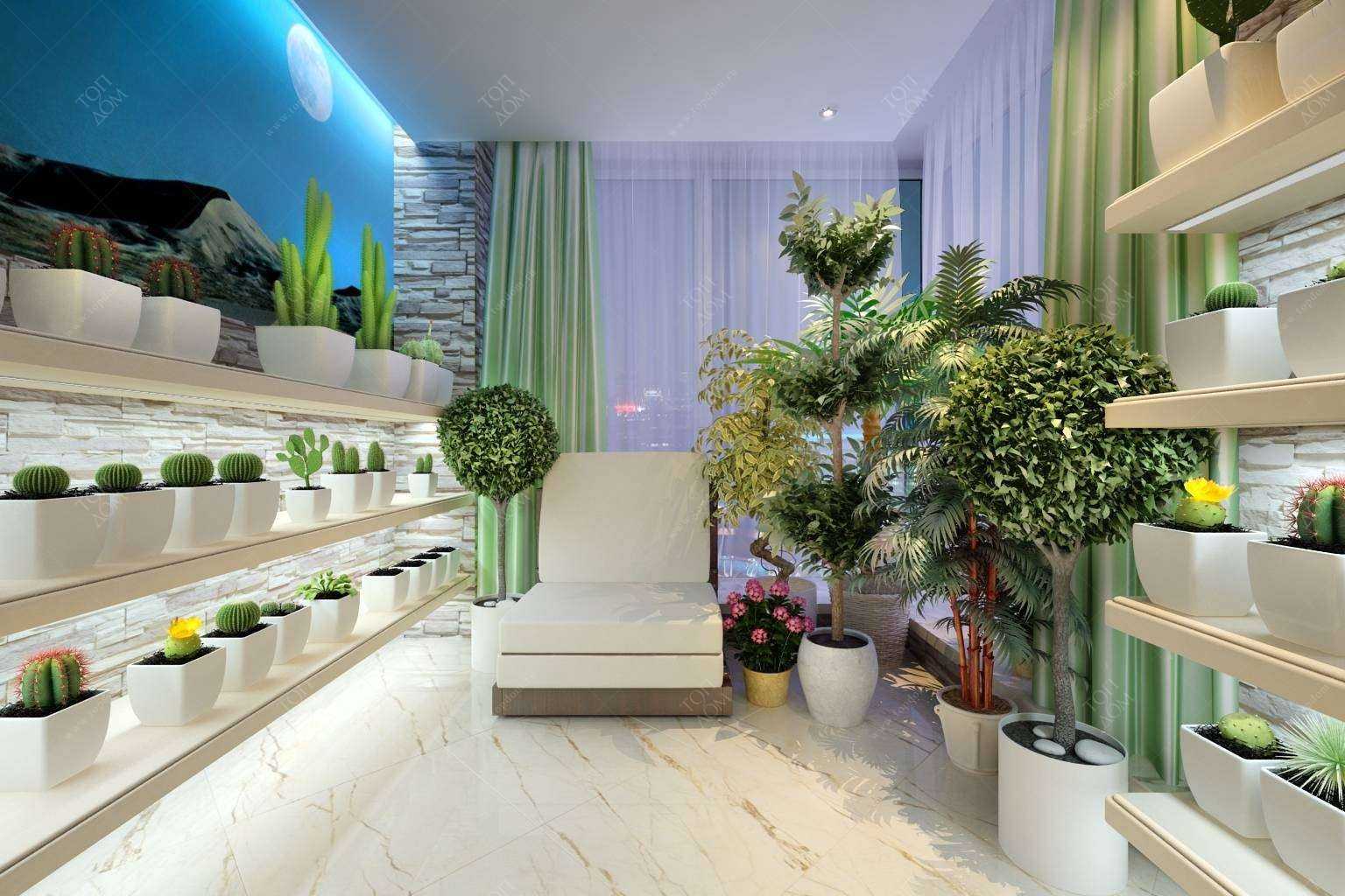 Лучшие комнатные растения