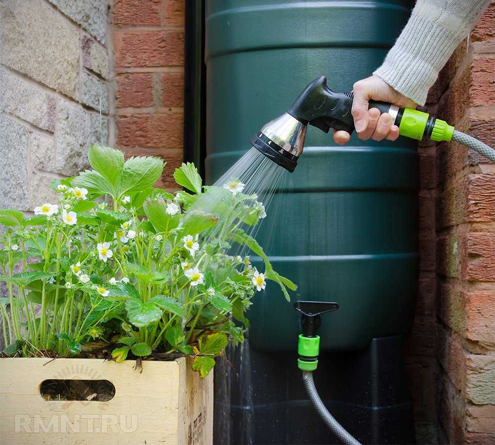 Лучший способ сбора дождевой воды для полива огорода