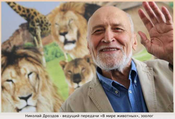 Николай дроздов: биография, жив или нет, сколько лет, личная жизнь