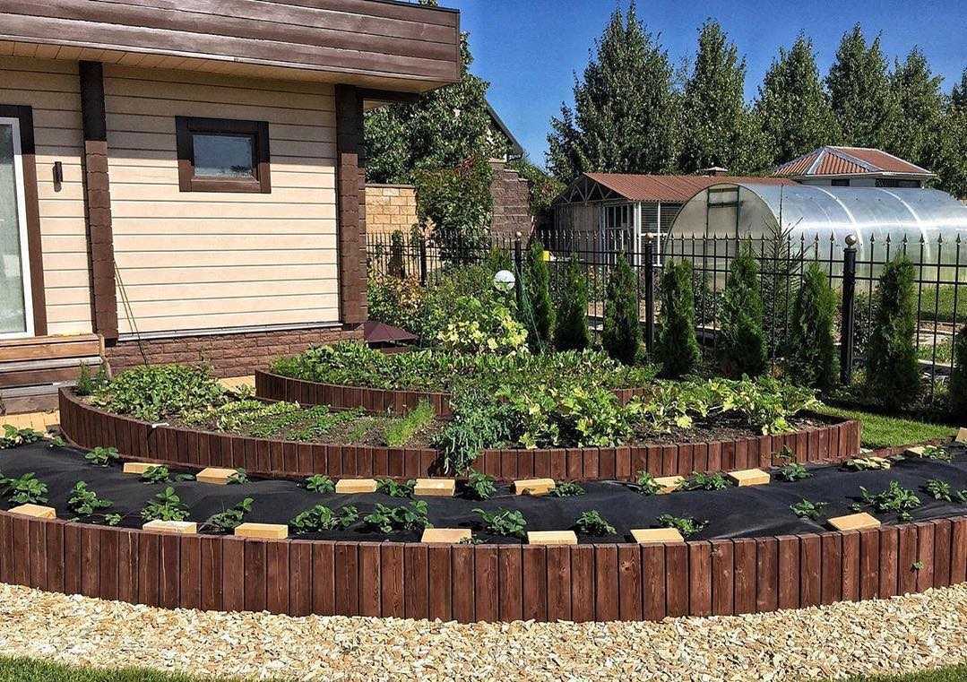 Красивый дизайн огорода: несколько идей оформления грядок в саду