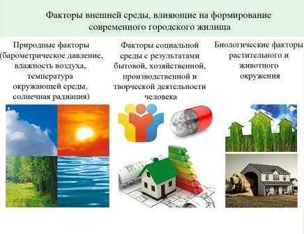 Экологическая обстановка и ситуация: уровни в россии и мире