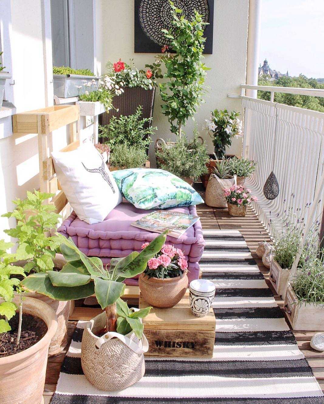 Огород на балконе для начинающих что посадить — дом сад огород