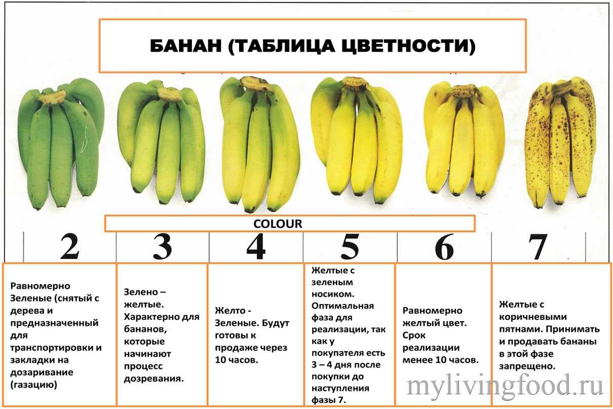 Как хранить бананы, чтобы они не чернели в домашних условиях